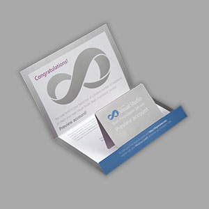 Visual Studio Team Foundation Service Preview Invitation - Golden Ticket Series