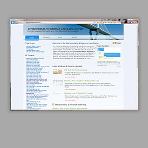 Interoperability Bridges Website - User Interface Design